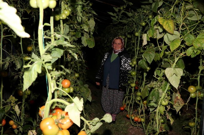 Muğla'da çiftçilerin soğuk hava nöbeti